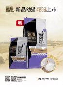 爵加新品幼貓精選上市！