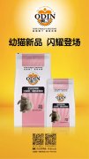 奧丁精品幼貓糧閃耀登場！??！