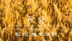 秋分丨晝夜分畫，漸入秋華