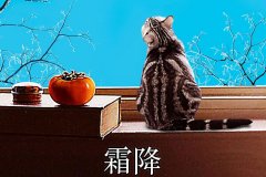 霜降丨縱然霜華盡染，心中美好如初