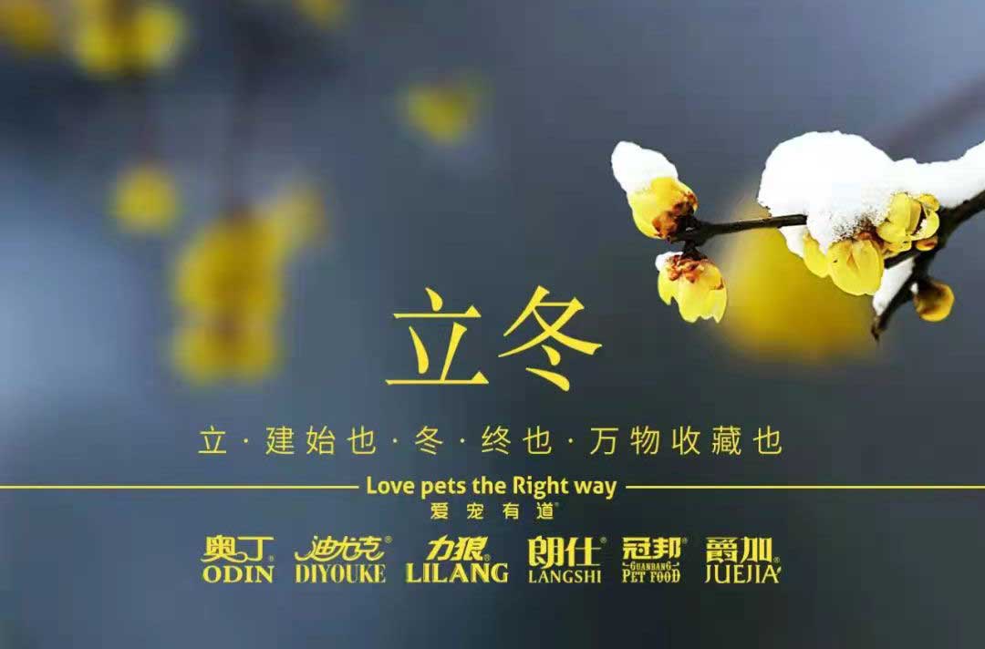 立冬丨冬寒初始，情暖愈濃